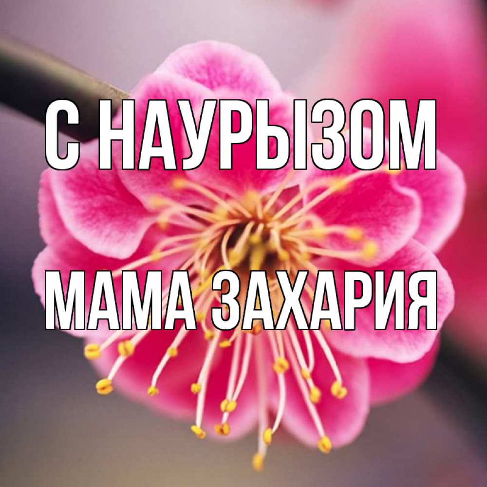 Открытка на каждый день с именем, Мама-Захария С наурызом цветы Прикольная открытка с пожеланием онлайн скачать бесплатно 