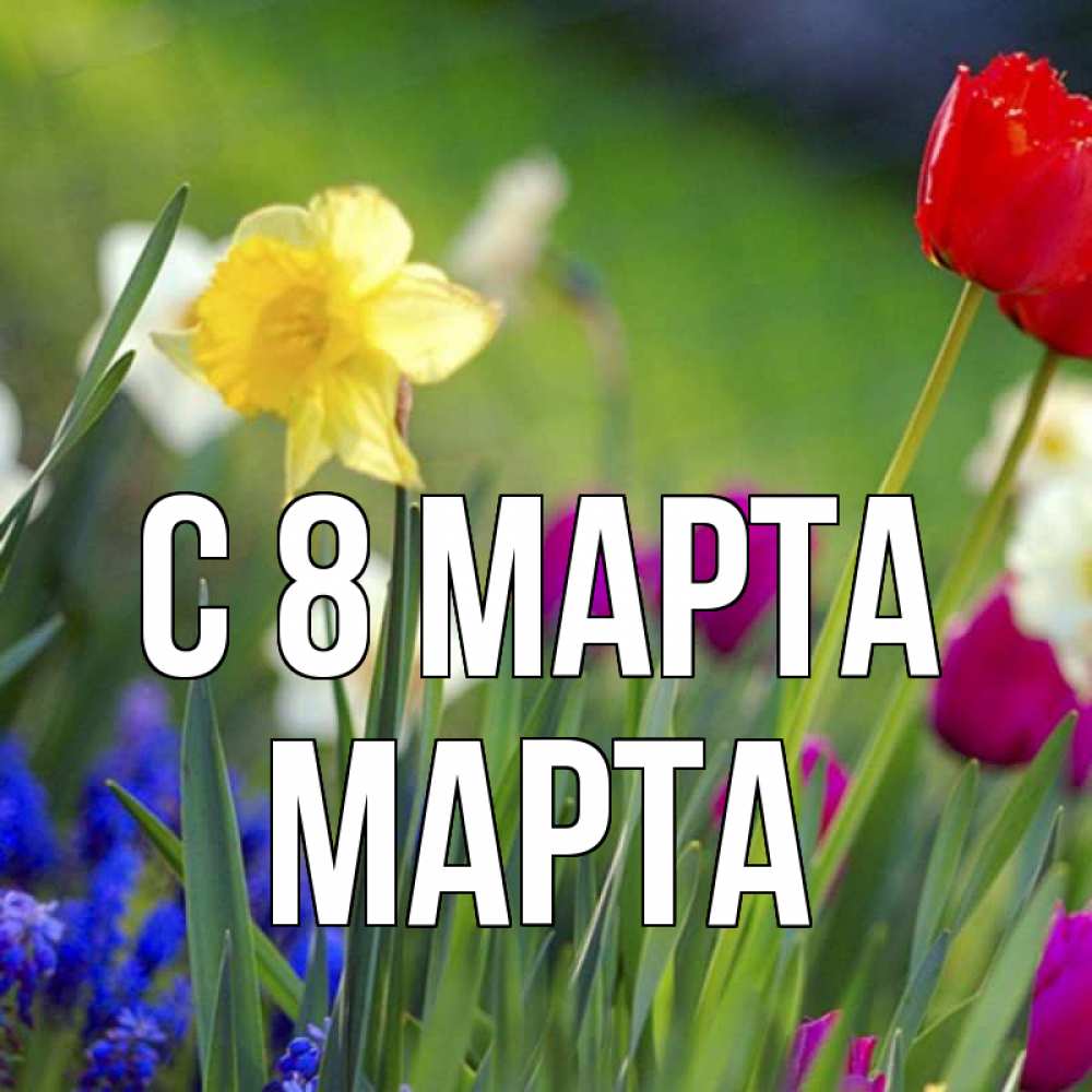 Открытка на каждый день с именем, Марта С 8 марта международный женский день 3 Прикольная открытка с пожеланием онлайн скачать бесплатно 