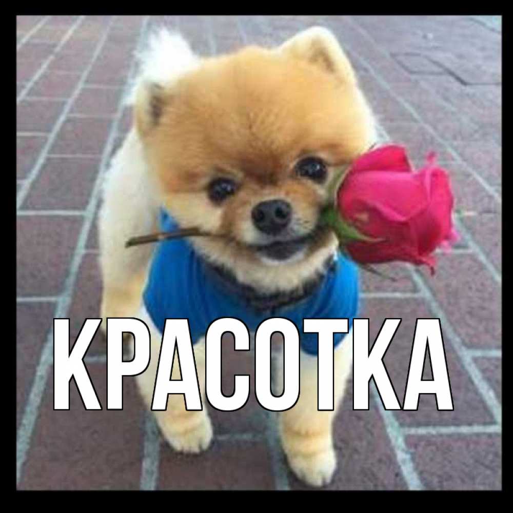 Картинка  с именем , красотка