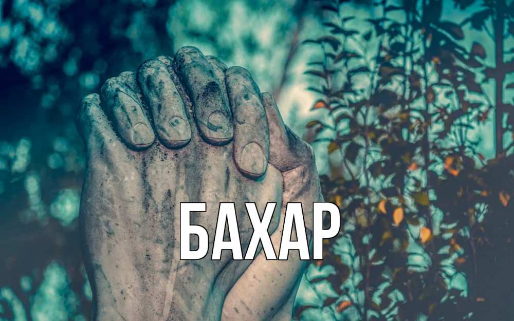 Картинка  с именем , Бахар