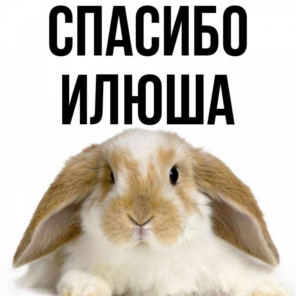 Илюша 25