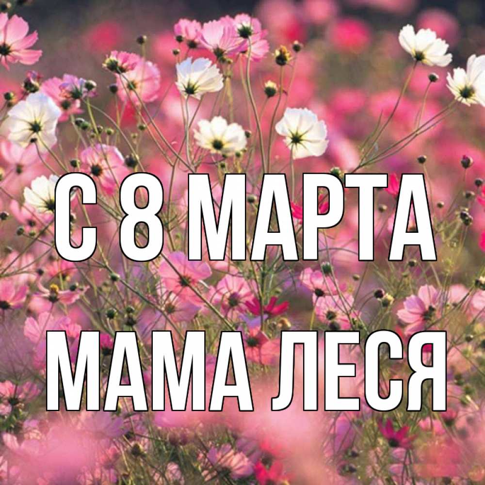 Открытка на каждый день с именем, Мама-Леся С 8 марта красиво 1 Прикольная открытка с пожеланием онлайн скачать бесплатно 