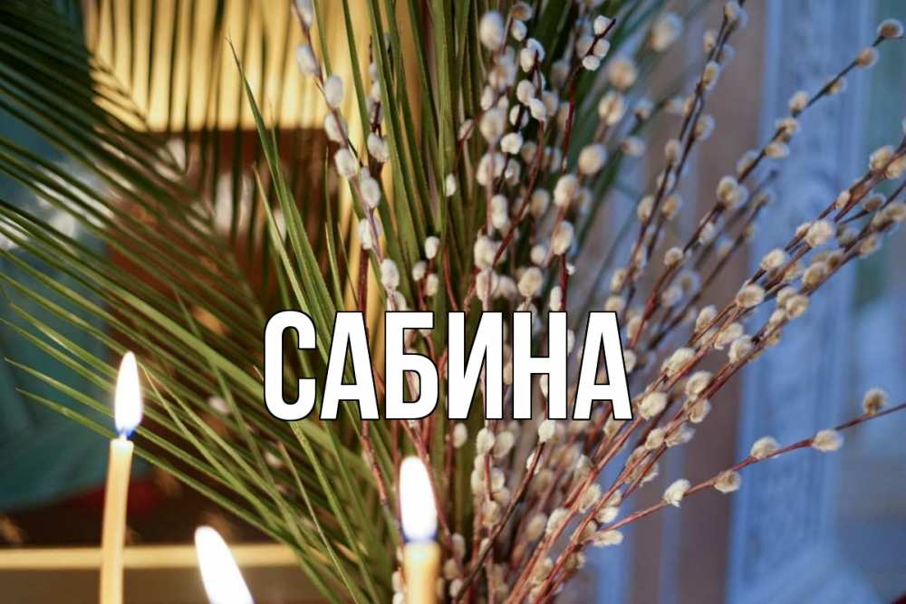 Открытка на каждый день с именем, Сабина Главная верба Прикольная открытка с пожеланием онлайн скачать бесплатно 