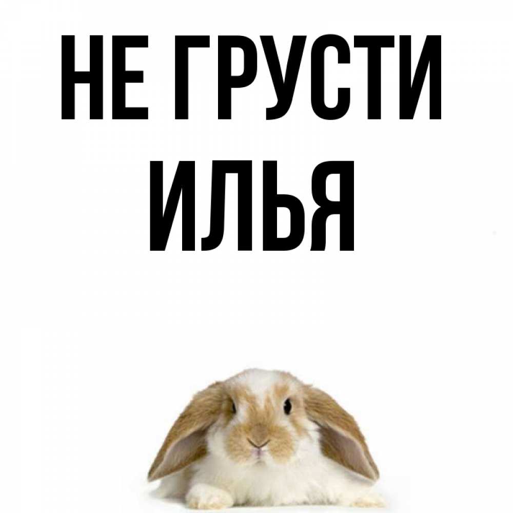 Не грусти а то не будет расти картинки