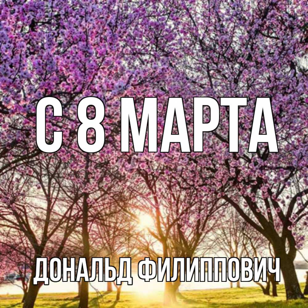 Картинка С 8 марта, Дональд Филиппович