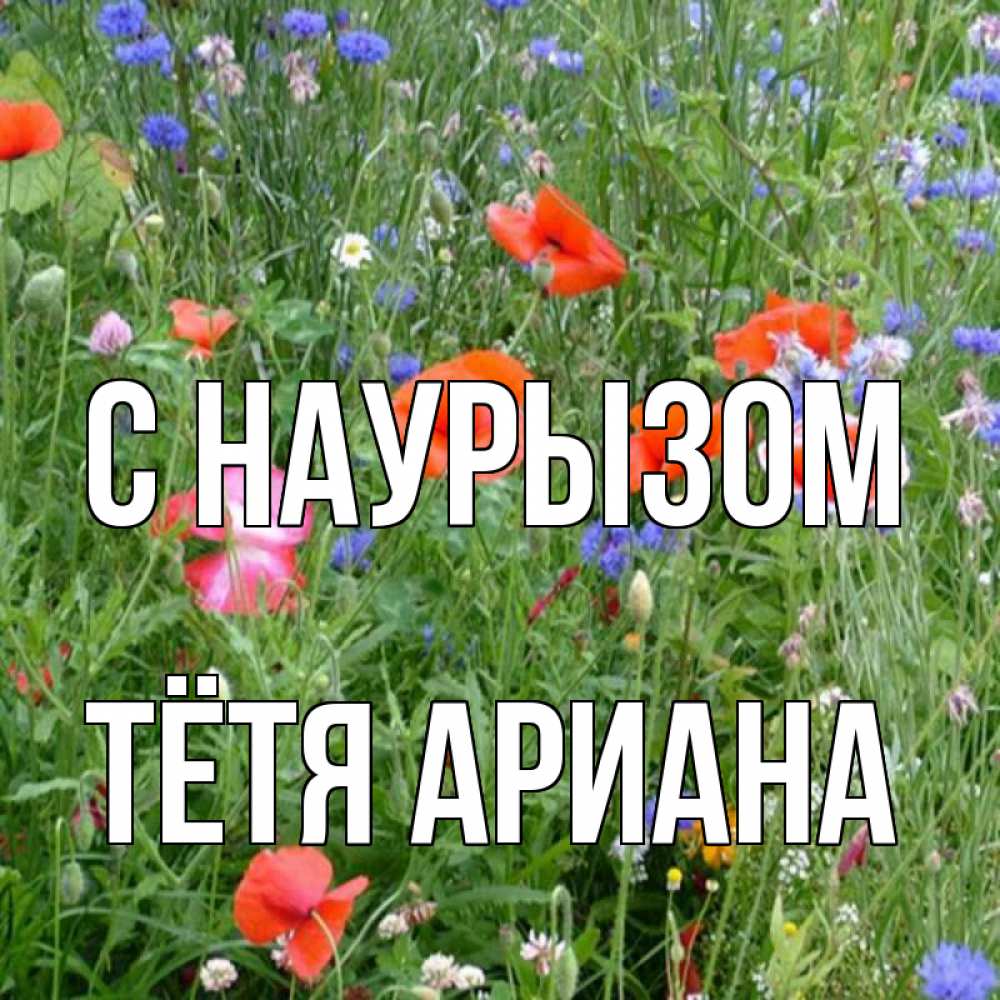 Открытка на каждый день с именем, Тётя-Ариана С наурызом праздник весны наурыз супер открытка Прикольная открытка с пожеланием онлайн скачать бесплатно 