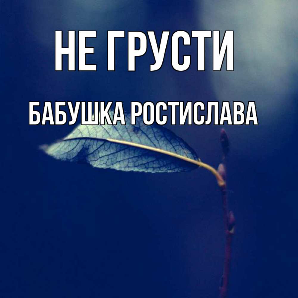 Открытка на каждый день с именем, Бабушка-Ростислава Не грусти растение Прикольная открытка с пожеланием онлайн скачать бесплатно 
