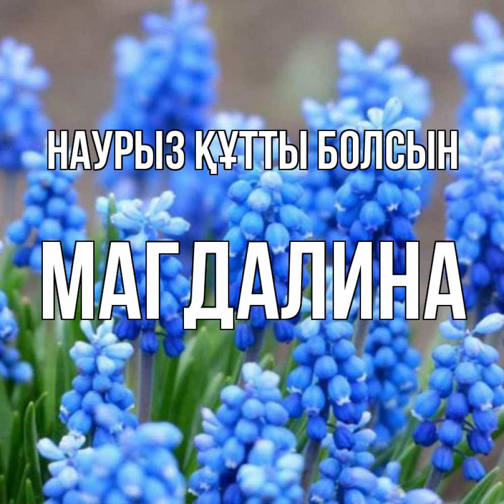 Открытка на каждый день с именем, Магдалина Наурыз құтты болсын Поздравительная открытка для женщин с цветами на праздничную дату Прикольная открытка с пожеланием онлайн скачать бесплатно 