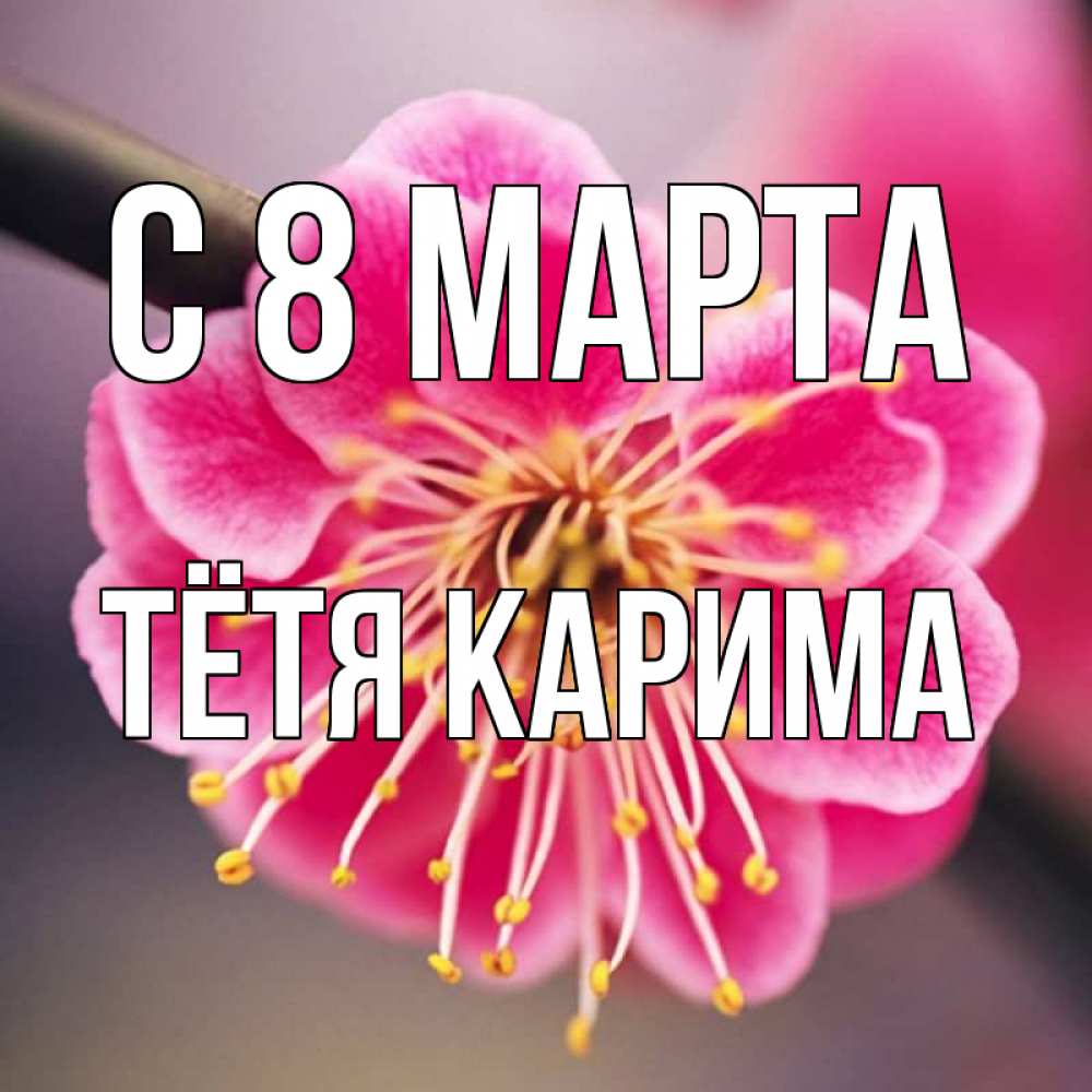 Открытка на каждый день с именем, Тётя-Карима С 8 марта цветы Прикольная открытка с пожеланием онлайн скачать бесплатно 