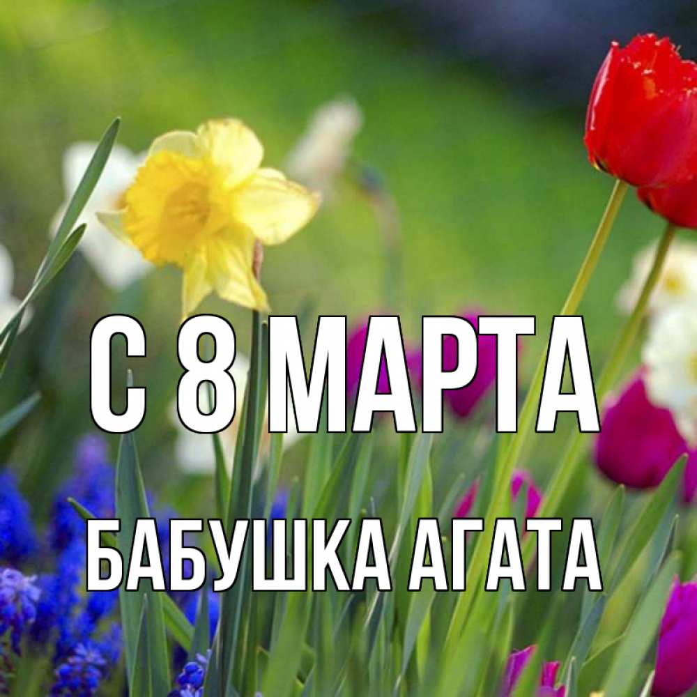 Картинка С 8 МАРТА, Бабушка Агата