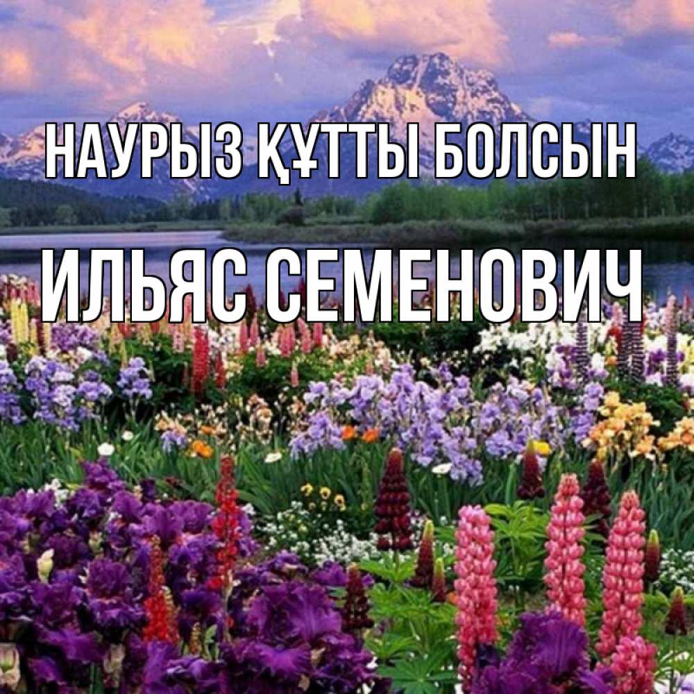 Картинка Наурыз құтты болсын, Ильяс Семенович