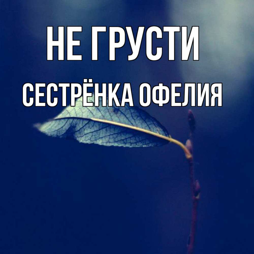 Открытка на каждый день с именем, Сестрёнка-Офелия Не грусти растение Прикольная открытка с пожеланием онлайн скачать бесплатно 