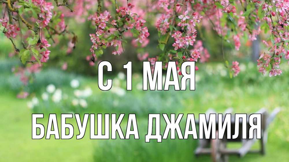 Открытка на каждый день с именем, Бабушка-Джамиля С 1 мая С 1 мая Прикольная открытка с пожеланием онлайн скачать бесплатно 