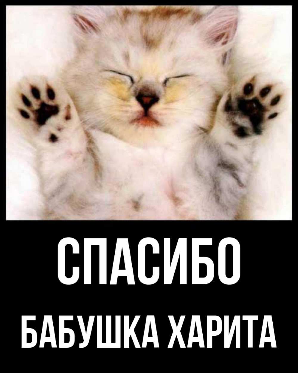 Открытка на каждый день с именем, Бабушка-Харита Спасибо маленький котенок Прикольная открытка с пожеланием онлайн скачать бесплатно 
