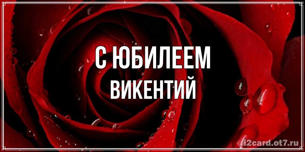 Открытка на каждый день с именем, Викентий С юбилеем крупная бордовая роза Прикольная открытка с пожеланием онлайн скачать бесплатно 