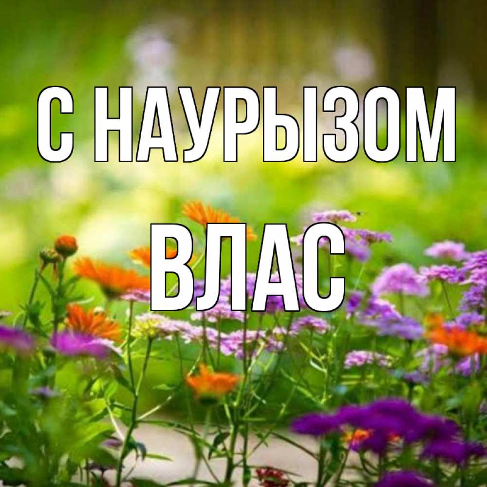 Открытка на каждый день с именем, Влас С наурызом цветы Прикольная открытка с пожеланием онлайн скачать бесплатно 