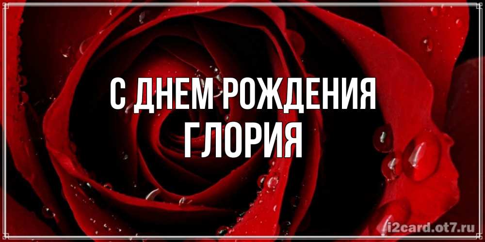 Открытка на каждый день с именем, Глория С днем рождения крупная бордовая роза Прикольная открытка с пожеланием онлайн скачать бесплатно 