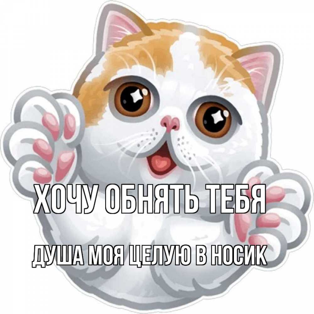 Открытка на каждый день с именем, Душа-моя-целУю-в-носик Хочу обнять тебя хаги Прикольная открытка с пожеланием онлайн скачать бесплатно 