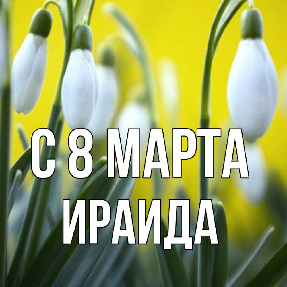 Открытка на каждый день с именем, Ираида С 8 МАРТА весенние цветы Прикольная открытка с пожеланием онлайн скачать бесплатно 