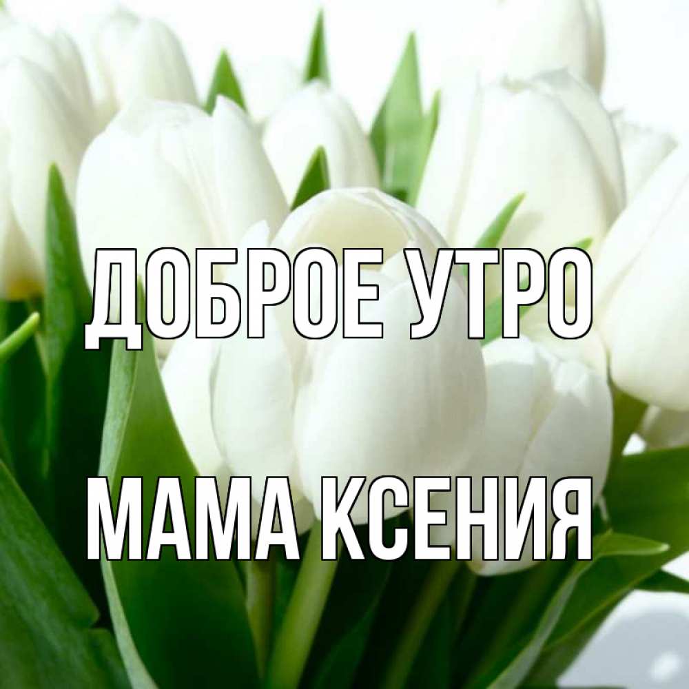Открытка на каждый день с именем, Мама-Ксения Доброе утро открытки на каждый день по именам Прикольная открытка с пожеланием онлайн скачать бесплатно 