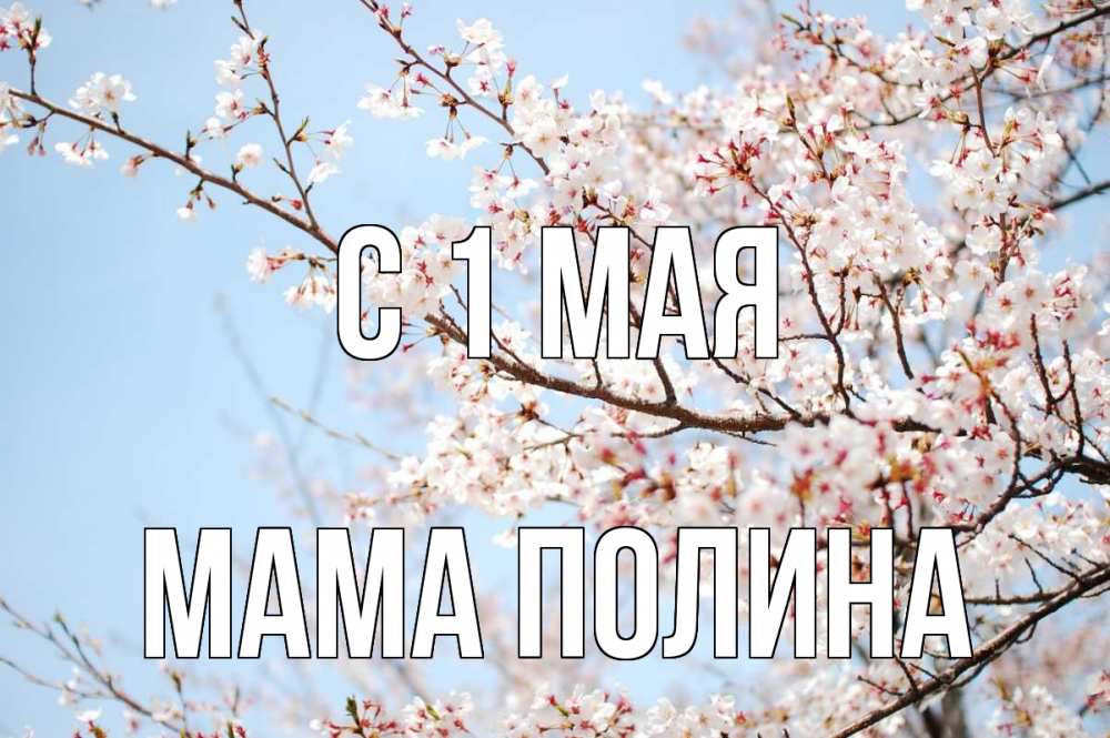 Открытка на каждый день с именем, Мама-Полина С 1 мая С 1 мая Прикольная открытка с пожеланием онлайн скачать бесплатно 
