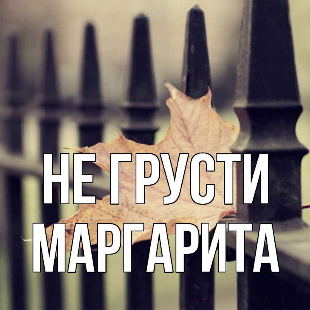 Открытка на каждый день с именем, Маргарита Не грусти лист клена Прикольная открытка с пожеланием онлайн скачать бесплатно 