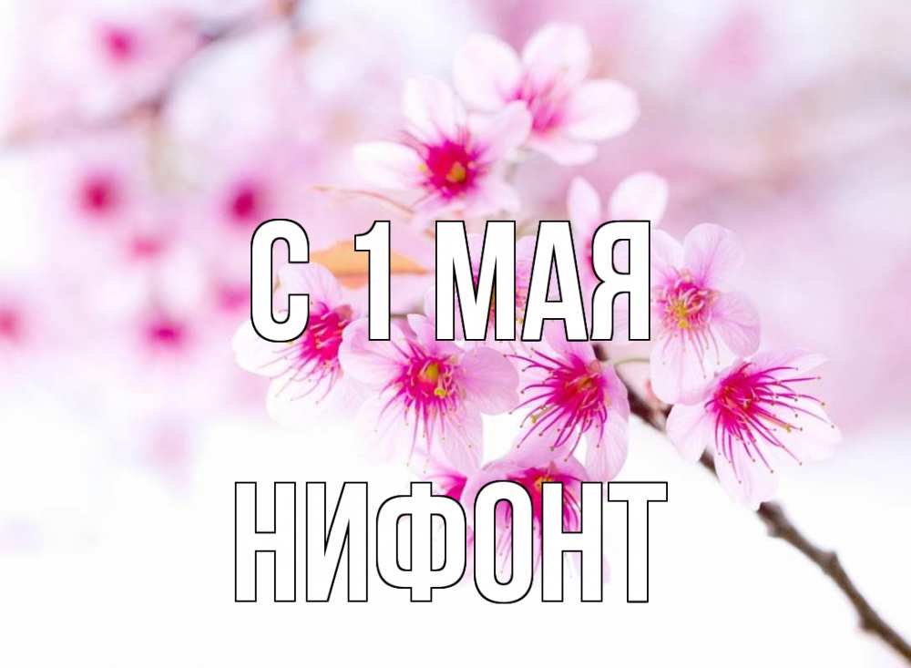 Открытка на каждый день с именем, Нифонт С 1 мая С 1 мая 2 Прикольная открытка с пожеланием онлайн скачать бесплатно 