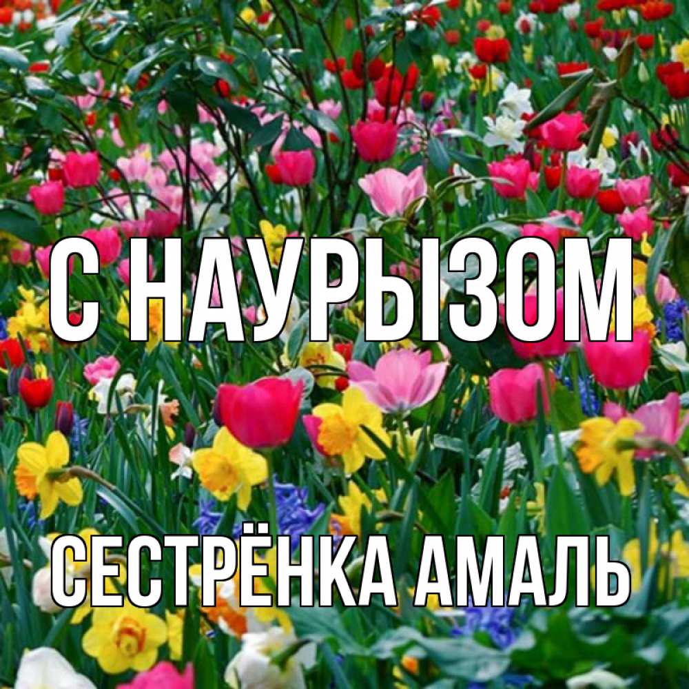 Открытка на каждый день с именем, Сестрёнка-Амаль С наурызом с наурызом праздником весны поздравления для женщины Прикольная открытка с пожеланием онлайн скачать бесплатно 