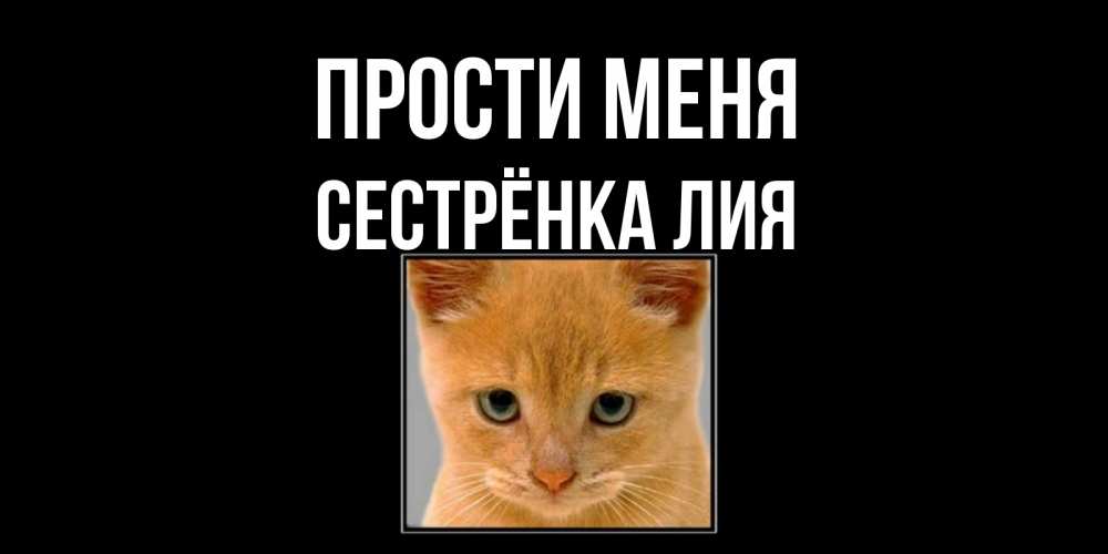 Открытка на каждый день с именем, Сестрёнка-Лия Прости меня рыжий грустный кот просит прощения Прикольная открытка с пожеланием онлайн скачать бесплатно 