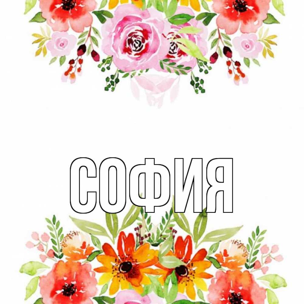 Открытка на каждый день с именем, София Главная открытка с цветами акварелью Прикольная открытка с пожеланием онлайн скачать бесплатно 