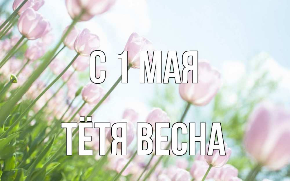 Открытка на каждый день с именем, Тётя-Весна С 1 мая С 1 мая Прикольная открытка с пожеланием онлайн скачать бесплатно 