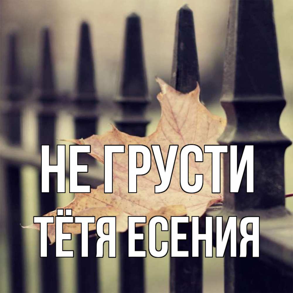 Открытка на каждый день с именем, Тётя-Есения Не грусти лист клена Прикольная открытка с пожеланием онлайн скачать бесплатно 