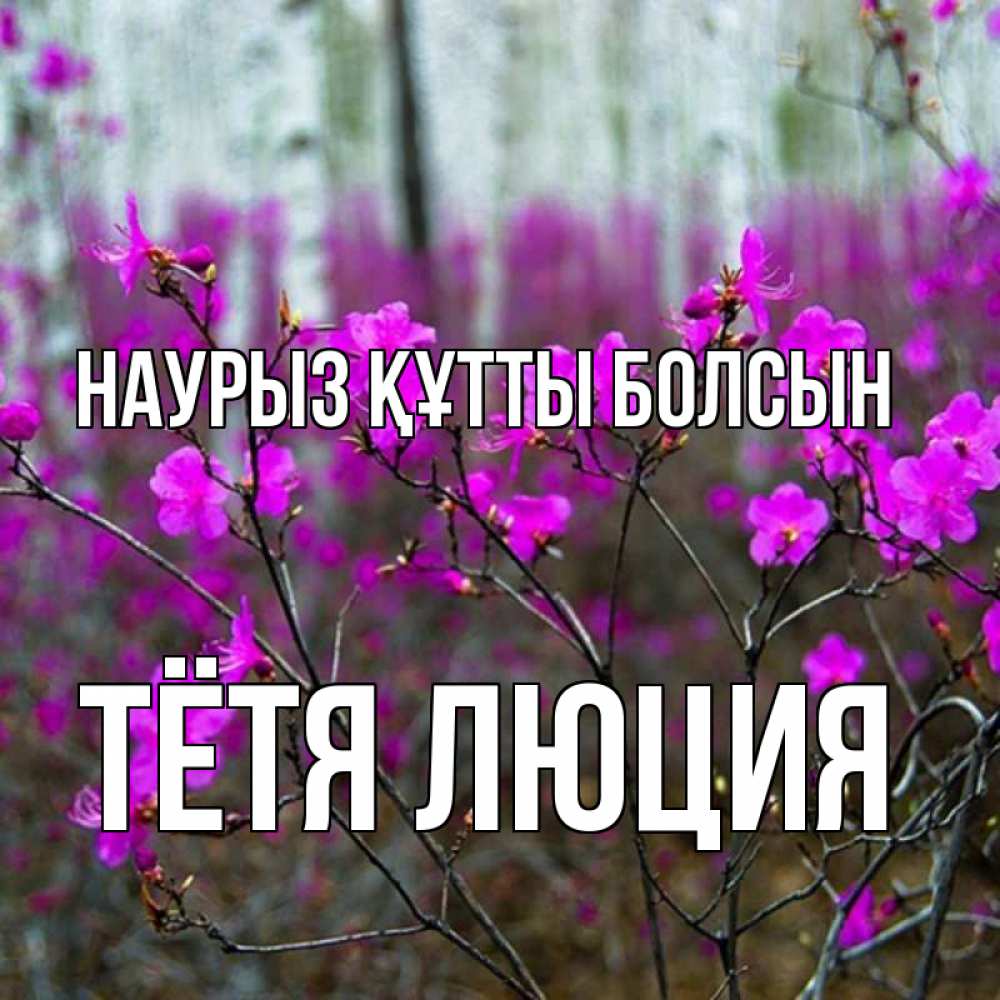 Открытка на каждый день с именем, Тётя-Люция Наурыз құтты болсын дикие цветы Прикольная открытка с пожеланием онлайн скачать бесплатно 