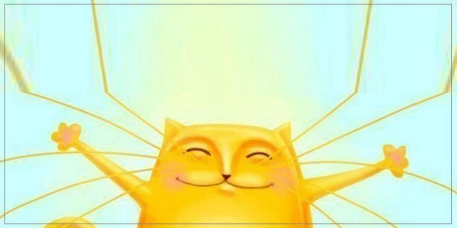 Открытка кот на каждый день  обнимашки Хорошего дня 