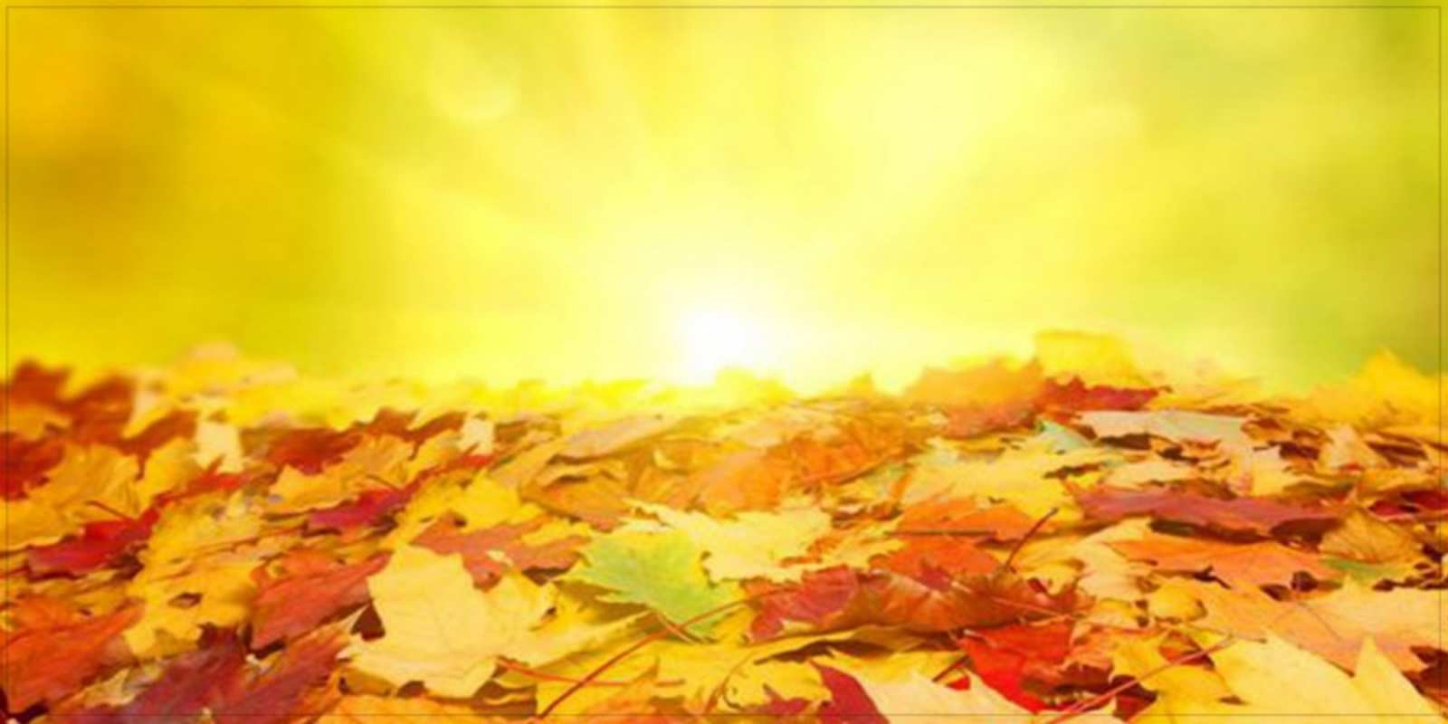 Открытка осенний листопад пожелания удачного дня Удачного дня 