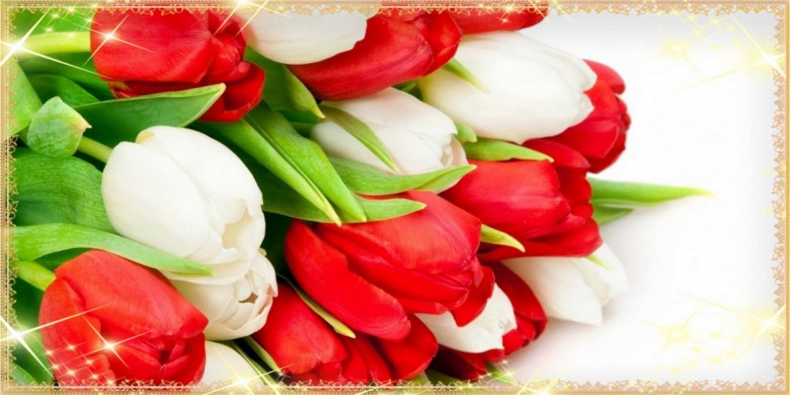 Открытка красные и белые тюльпаны на международный женский день   Поздравительные открытки для милых женщин  С наурызом 