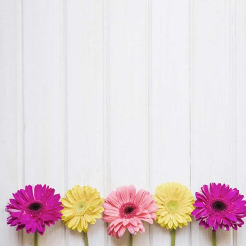 Открытка цветы для позитива  красный желтый и розовый цветок  Доброе утро 