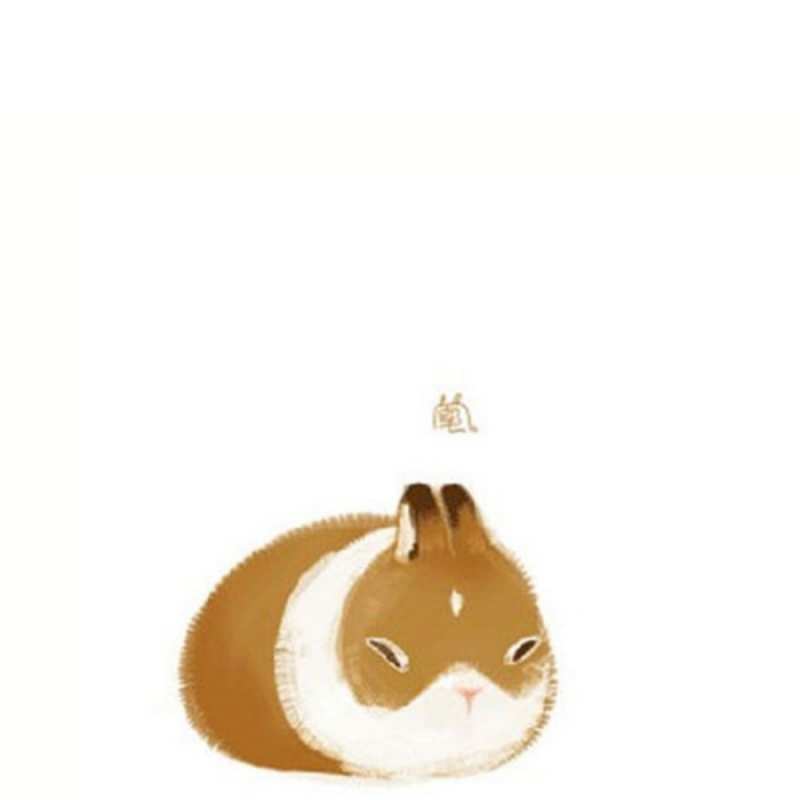 Открытка морская свинка желает лучшего  хорошего утречка  Доброе утро 