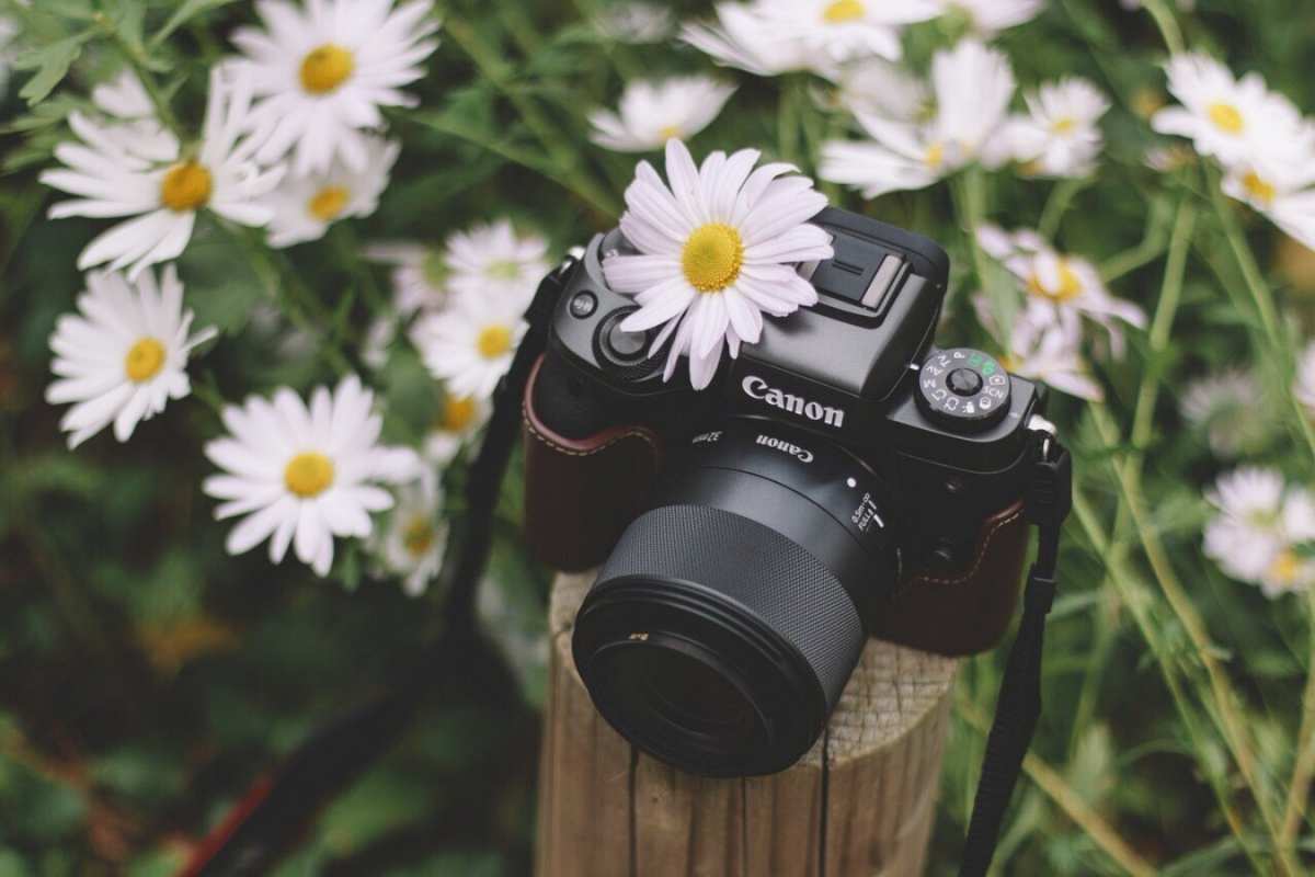 Открытка фотоаппарат кэнон  с днем фотографа  С днем фотографа 