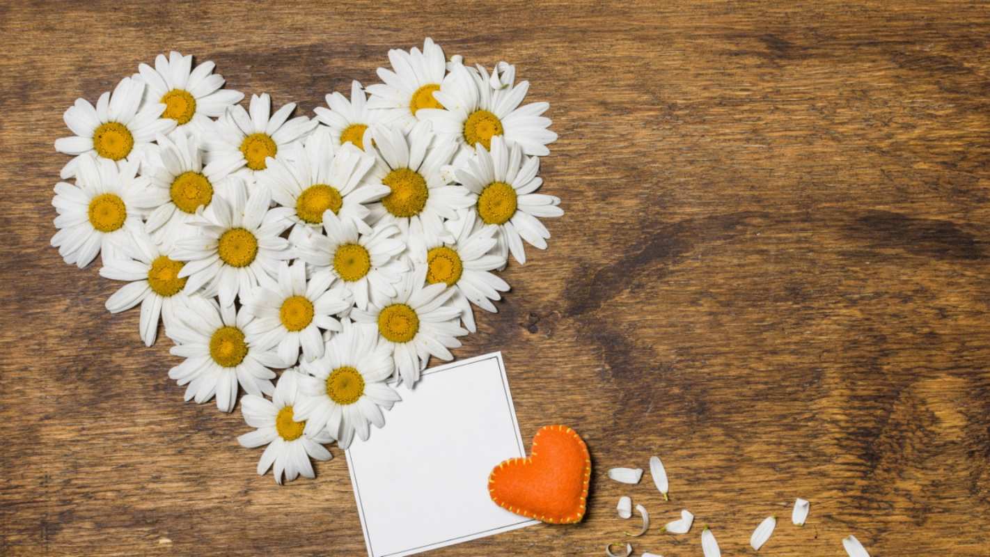 Открытка сердце из ромашек  с днем семьи   С днем семьи 