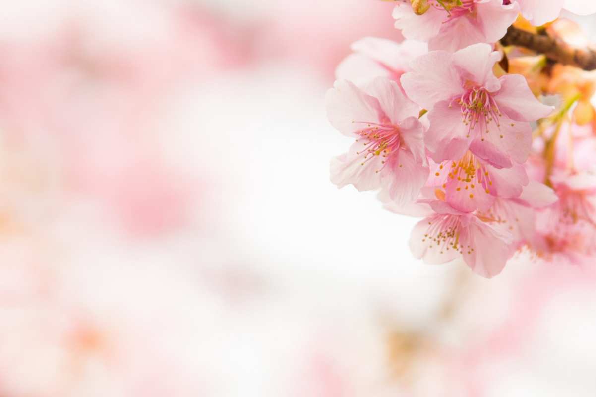 Открытка С 1 мая  С 1 мая  С 1 мая 