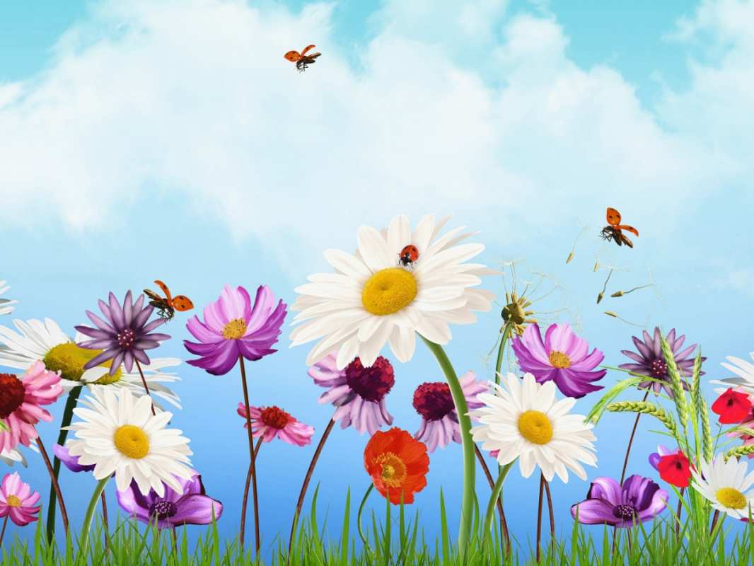 Открытка 1 мая  С 1 мая  С 1 мая 