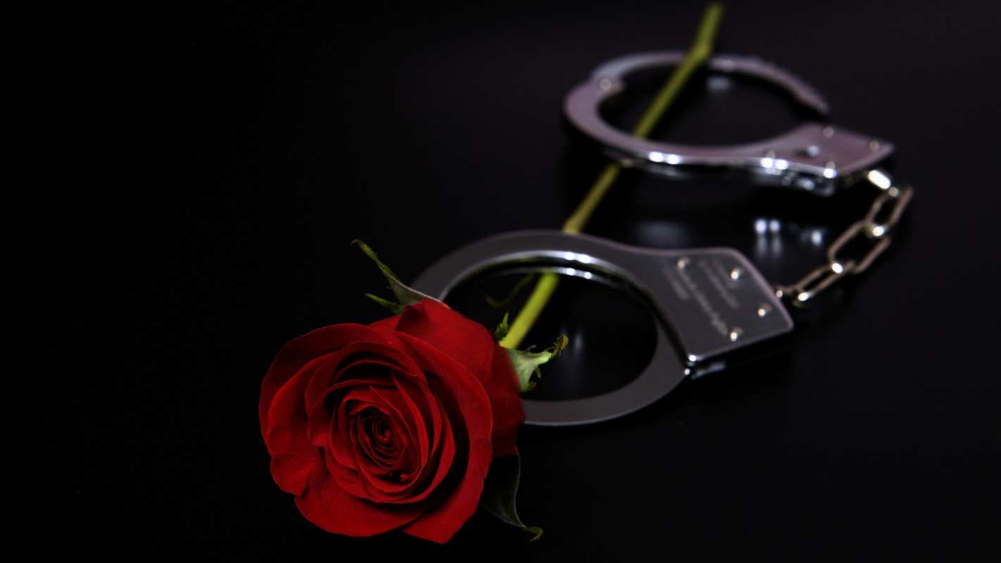 Открытка наручники и роза  роза и наручники  С днем полиции 