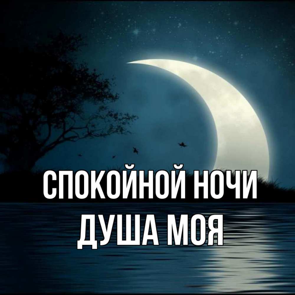 Доброй ночи душа моя картинки