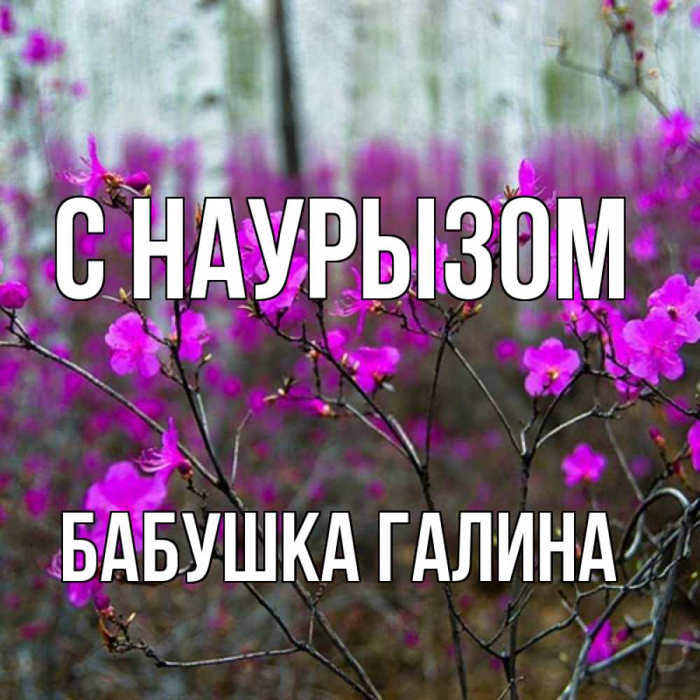 Открытка на каждый день с именем, Бабушка-Галина С наурызом дикие цветы Прикольная открытка с пожеланием онлайн скачать бесплатно 