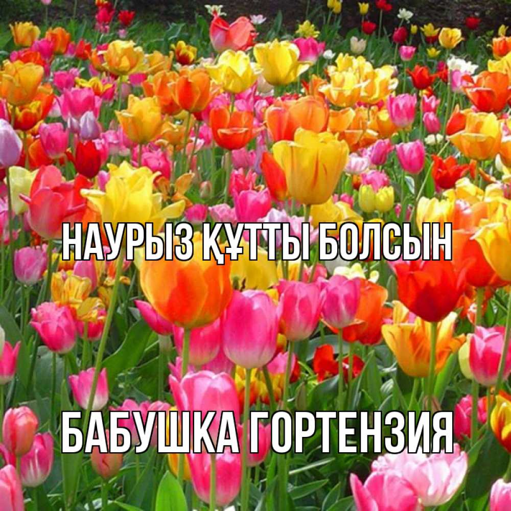 Открытка на каждый день с именем, Бабушка-Гортензия Наурыз құтты болсын на наурыз  ура ура Прикольная открытка с пожеланием онлайн скачать бесплатно 