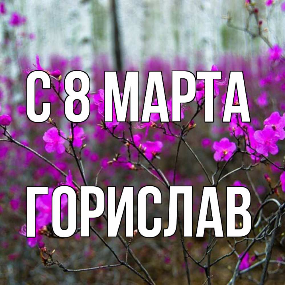 Открытка на каждый день с именем, Горислав С 8 МАРТА дикие цветы Прикольная открытка с пожеланием онлайн скачать бесплатно 