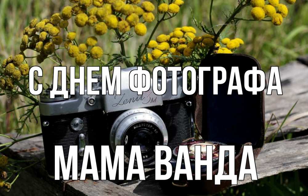 Открытка на каждый день с именем, Мама-Ванда С днем фотографа с днем фотографа Прикольная открытка с пожеланием онлайн скачать бесплатно 