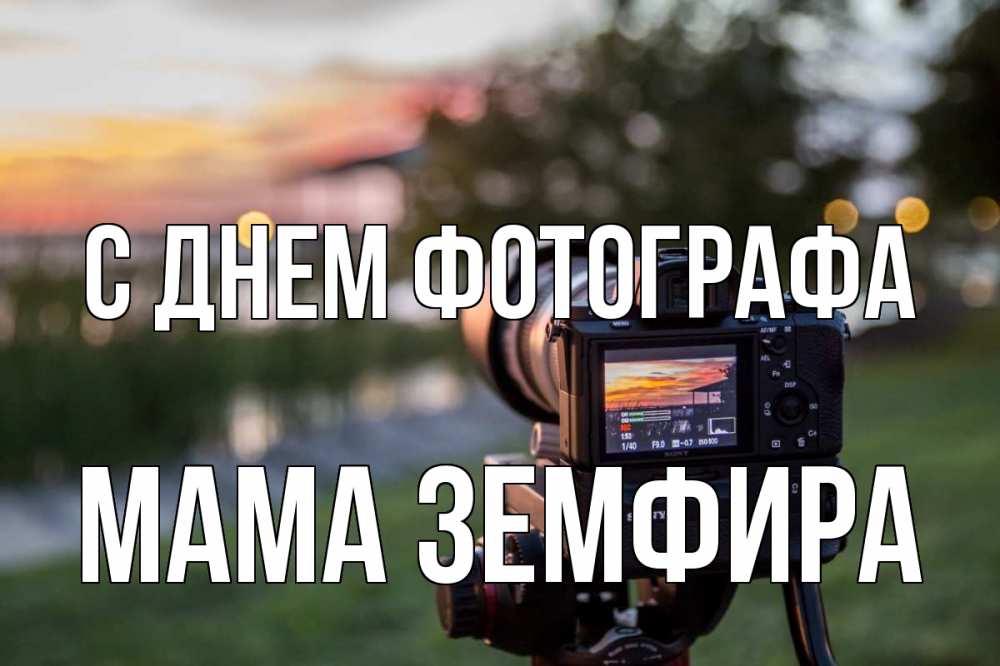 Открытка на каждый день с именем, Мама-Земфира С днем фотографа с днем фотографа Прикольная открытка с пожеланием онлайн скачать бесплатно 