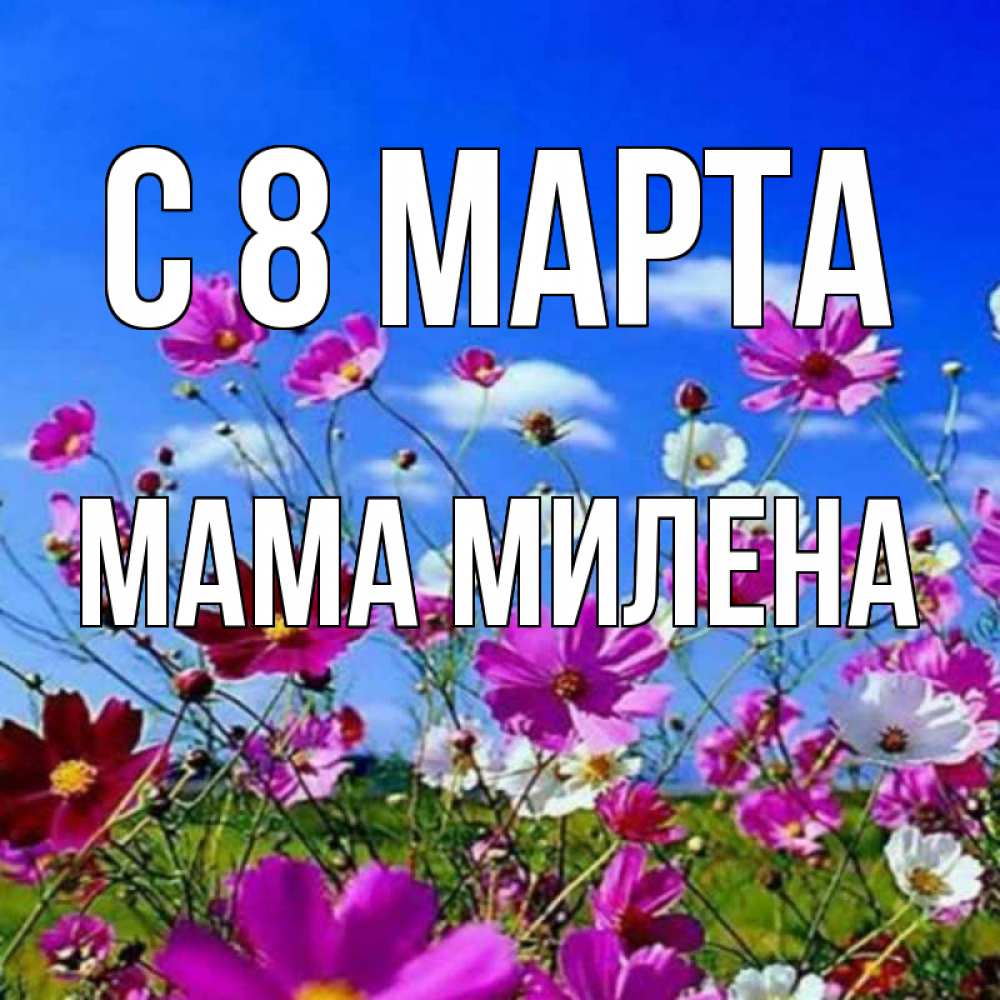 Открытка на каждый день с именем, Мама-Милена С 8 МАРТА цветы Прикольная открытка с пожеланием онлайн скачать бесплатно 